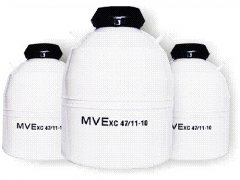 MVEҺ洢