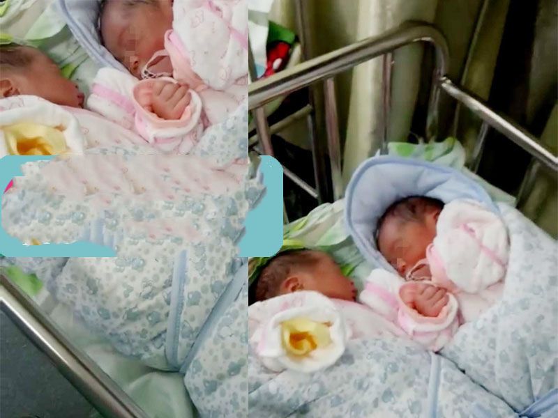 孕成国际广州助孕帮助赵先生一家成功圆梦双胞胎男宝宝