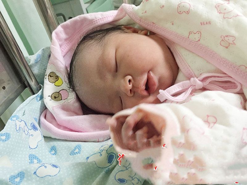 恭喜陆先生喜得一女