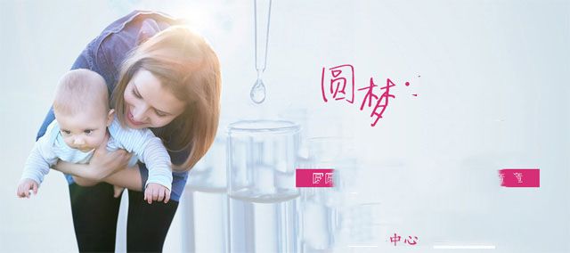 胚胎移植后经历了哪些阶段