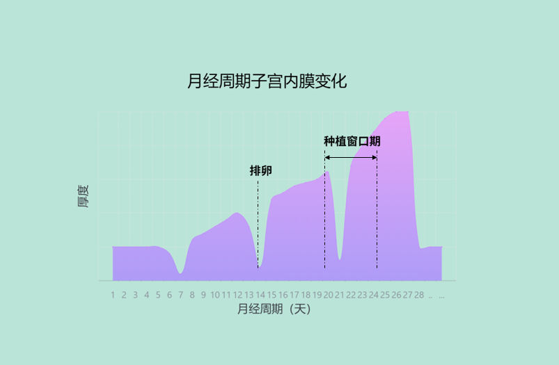 广州助孕:反复移植失败,可能是移植时间没选对